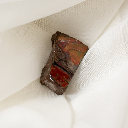 Ammolite - CM073