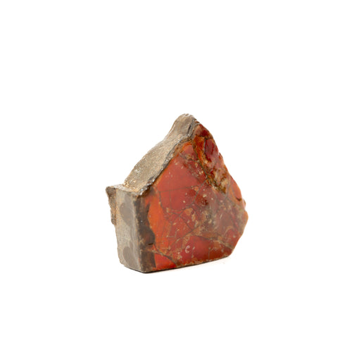 Ammolite - CM074