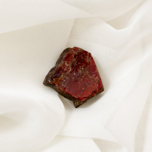Ammolite - CM074