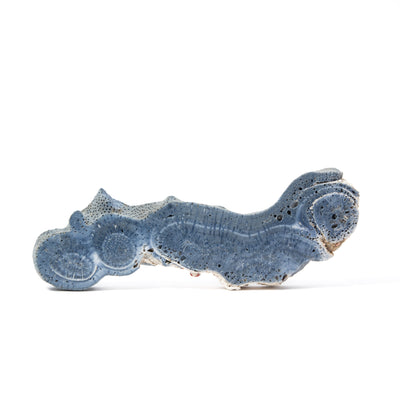 Kék korall (lap) -138g