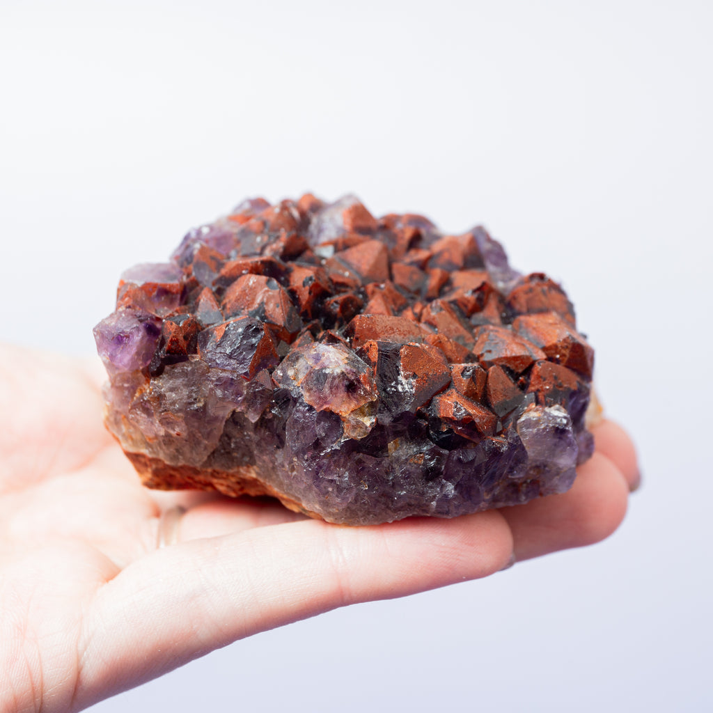 Red Amethyst (Thunder Bay) - C