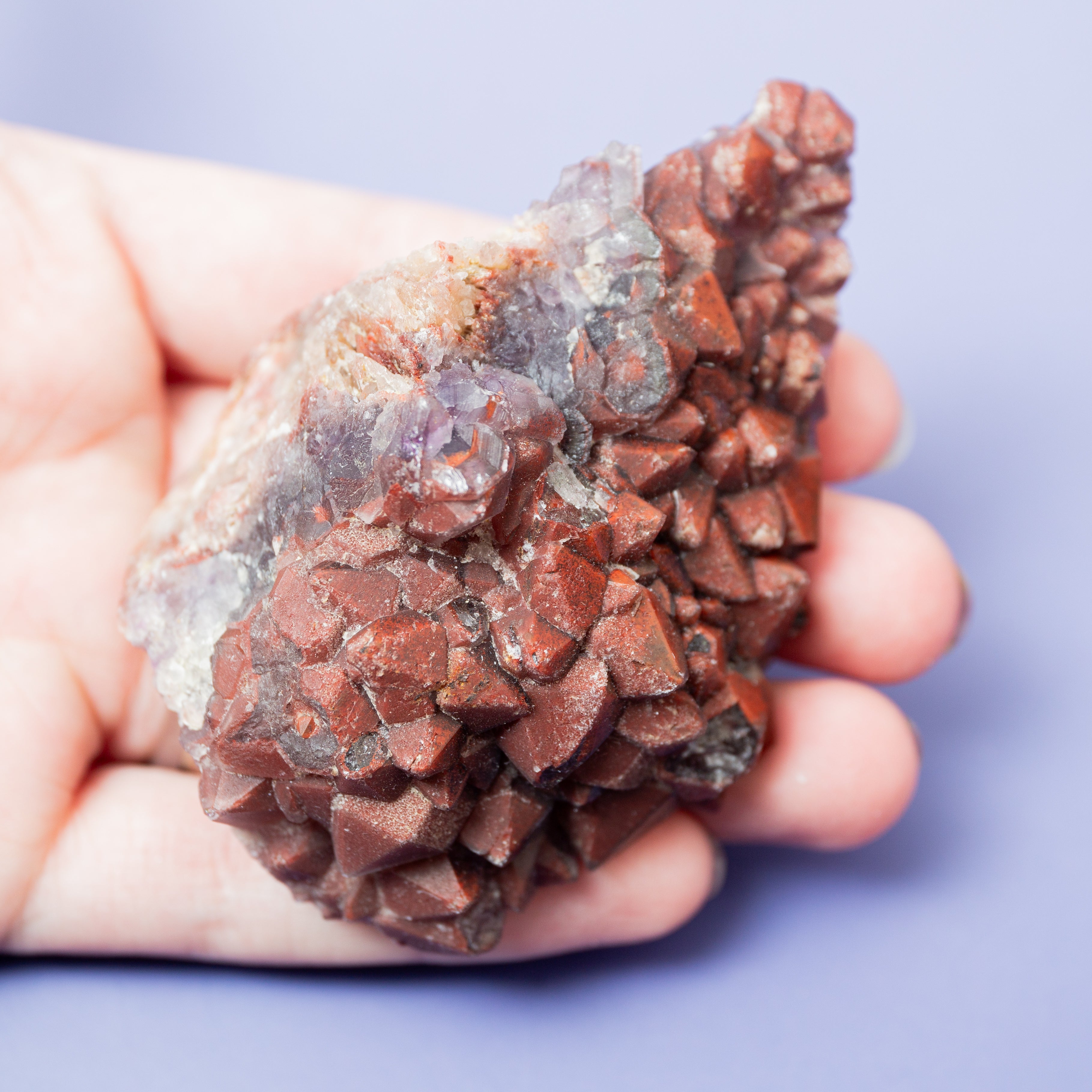 Red Amethyst (Thunder Bay) - D