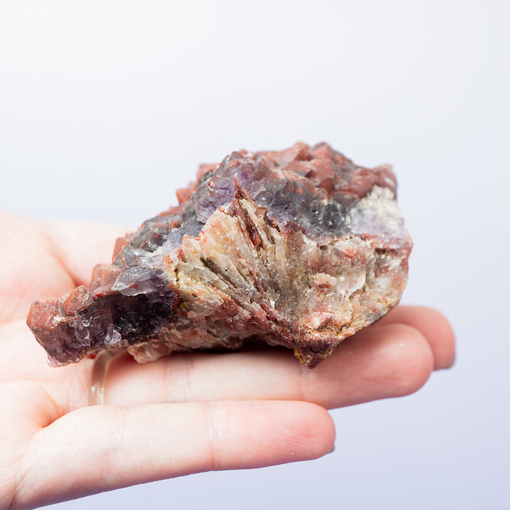 Red Amethyst (Thunder Bay) - D