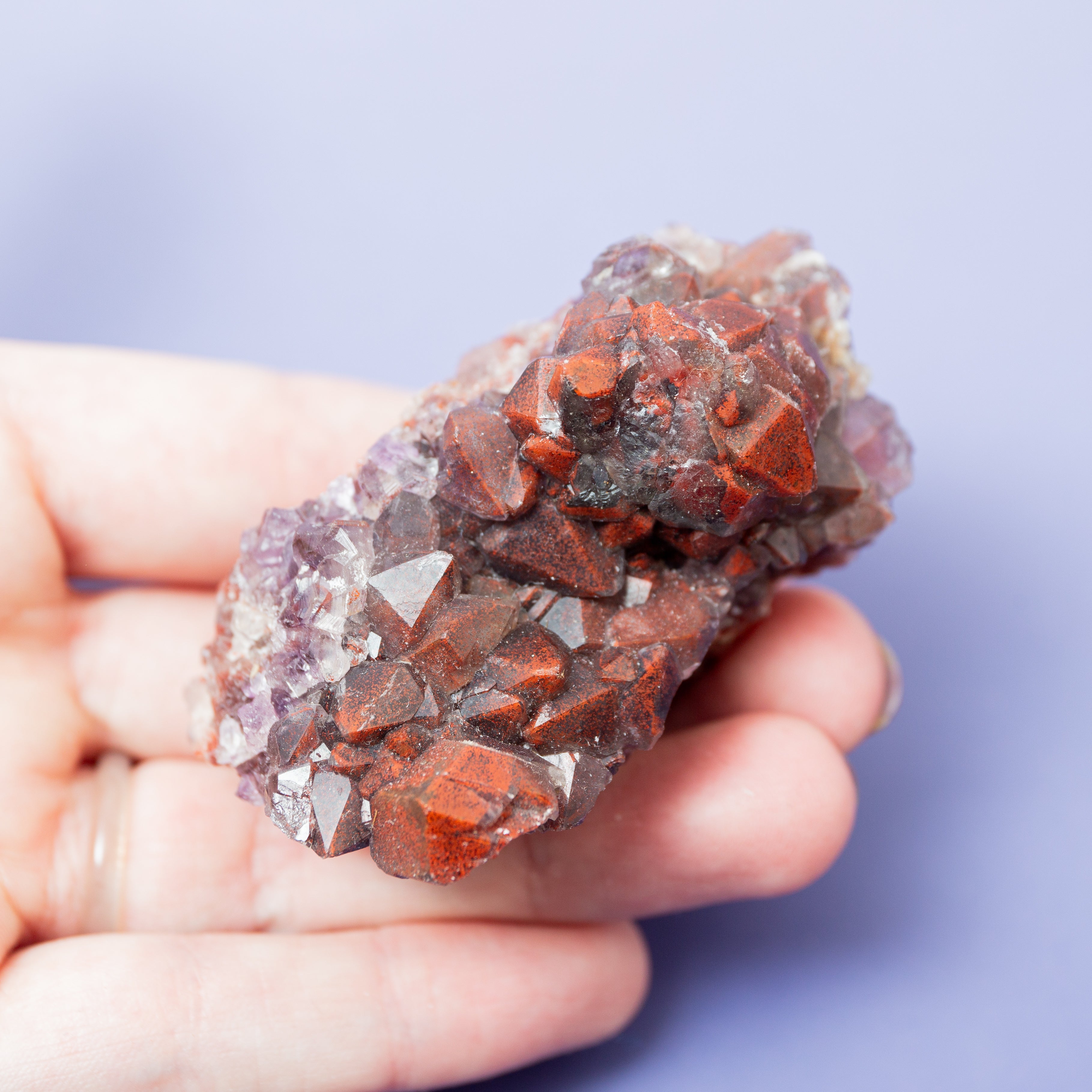 Vörös Ametiszt (Thunder Bay) - F