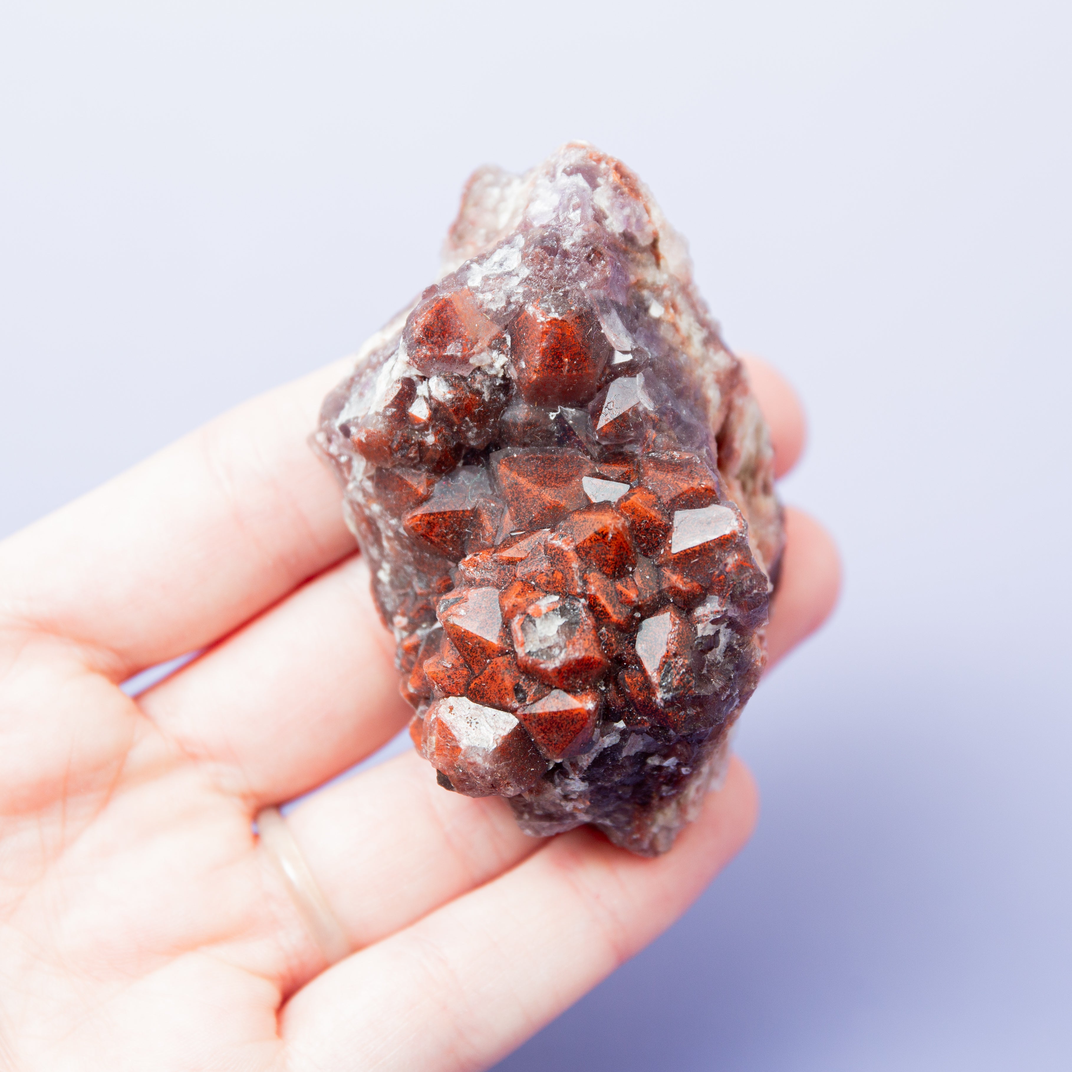 Vörös Ametiszt (Thunder Bay) - i