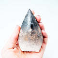Palmroot Shield - 137g/9.4cm (B)