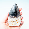 Palmroot Shield - 189g/10.5cm (C)