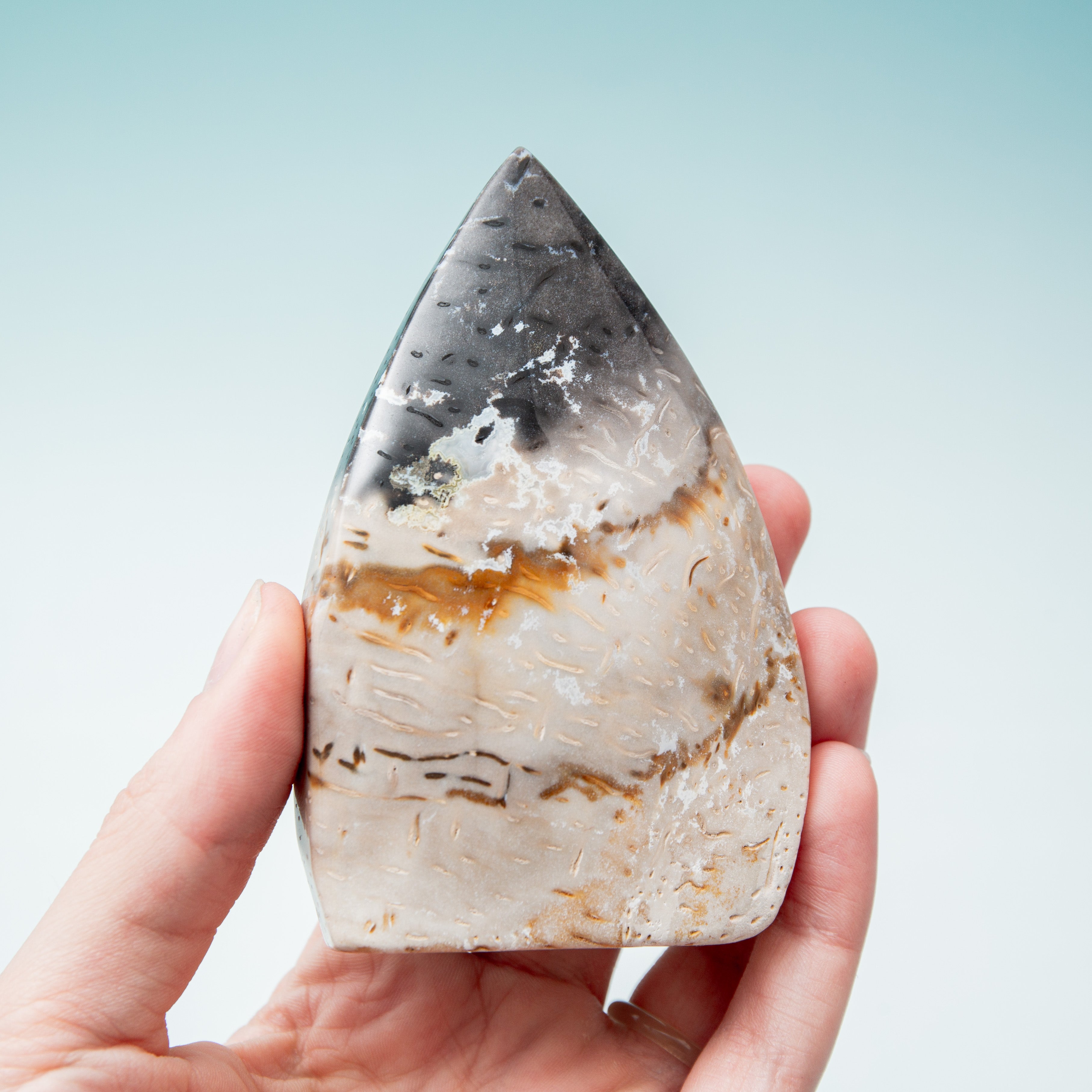 Palmroot Shield - 213g/10cm (F)