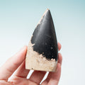 Palmroot Shield - 105g/8.5cm (G)