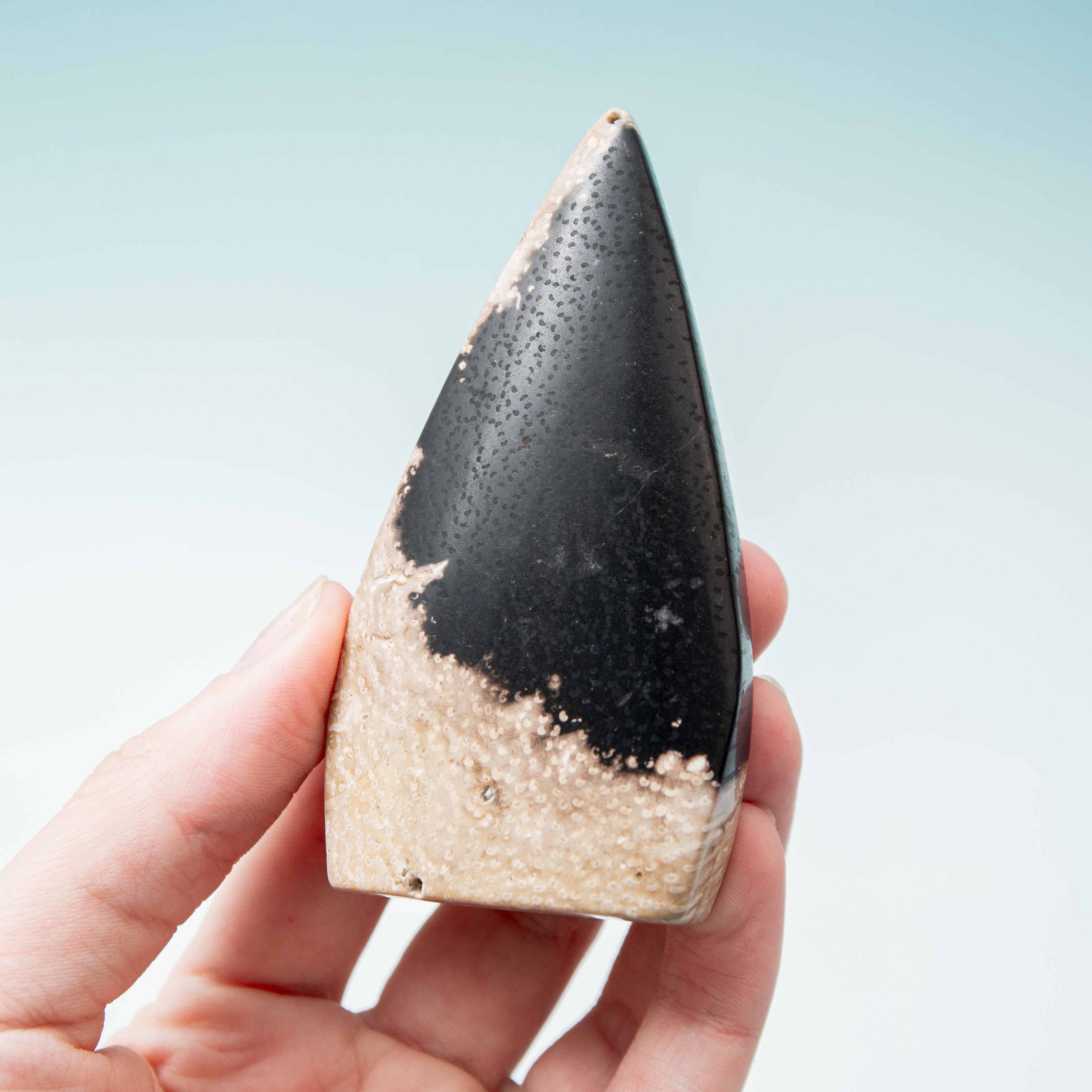 Palmroot Shield - 105g/8.5cm (G)