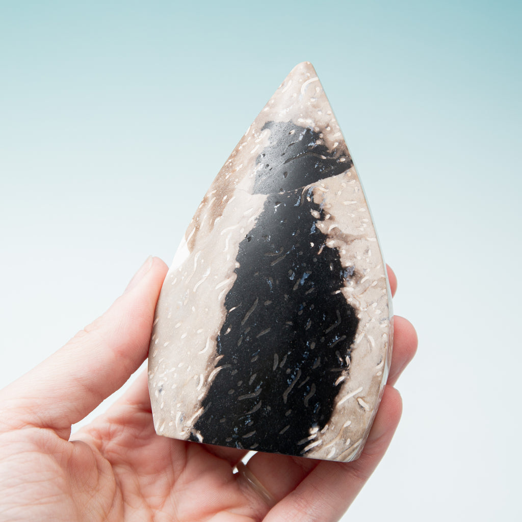 Palmroot Shield - 231g/10.5cm (H)