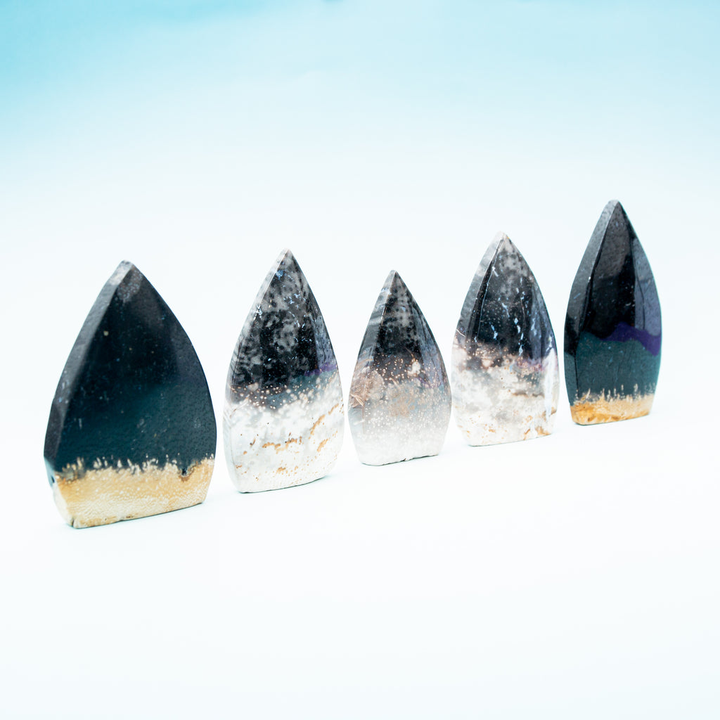 Palmroot Shield - 231g/10.5cm (H)