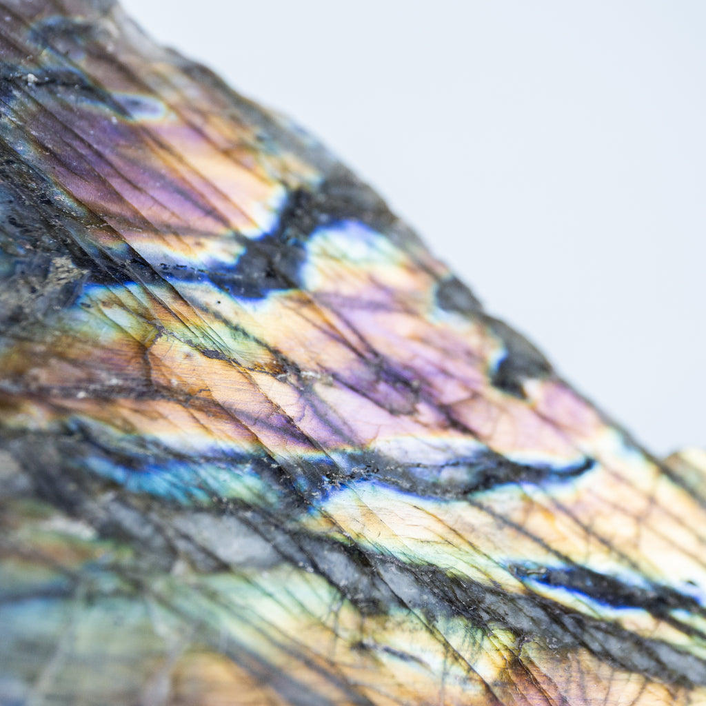 Labradorite half polished - 1.3kg
