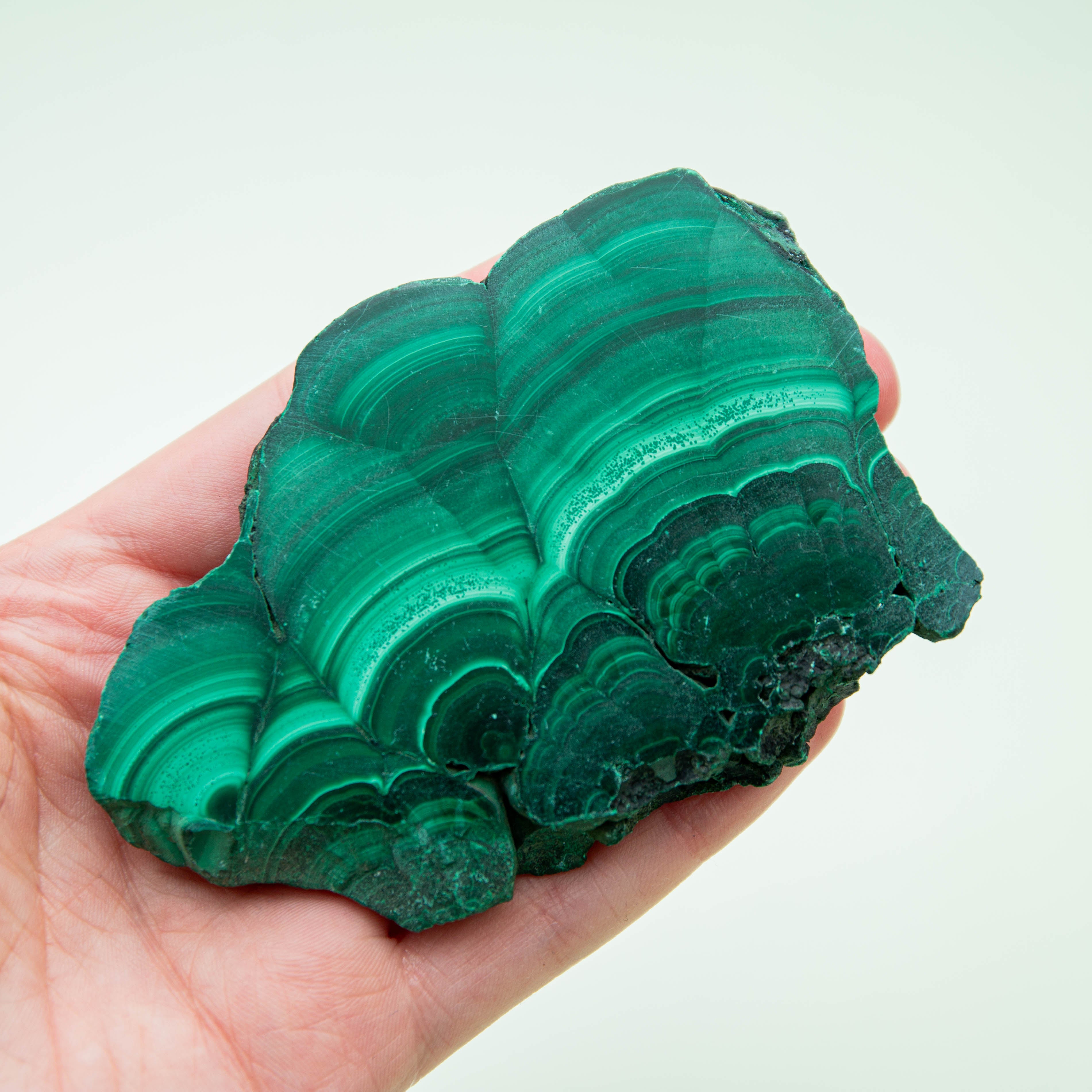 Malachite Slap - 149g/9.5cm (C)