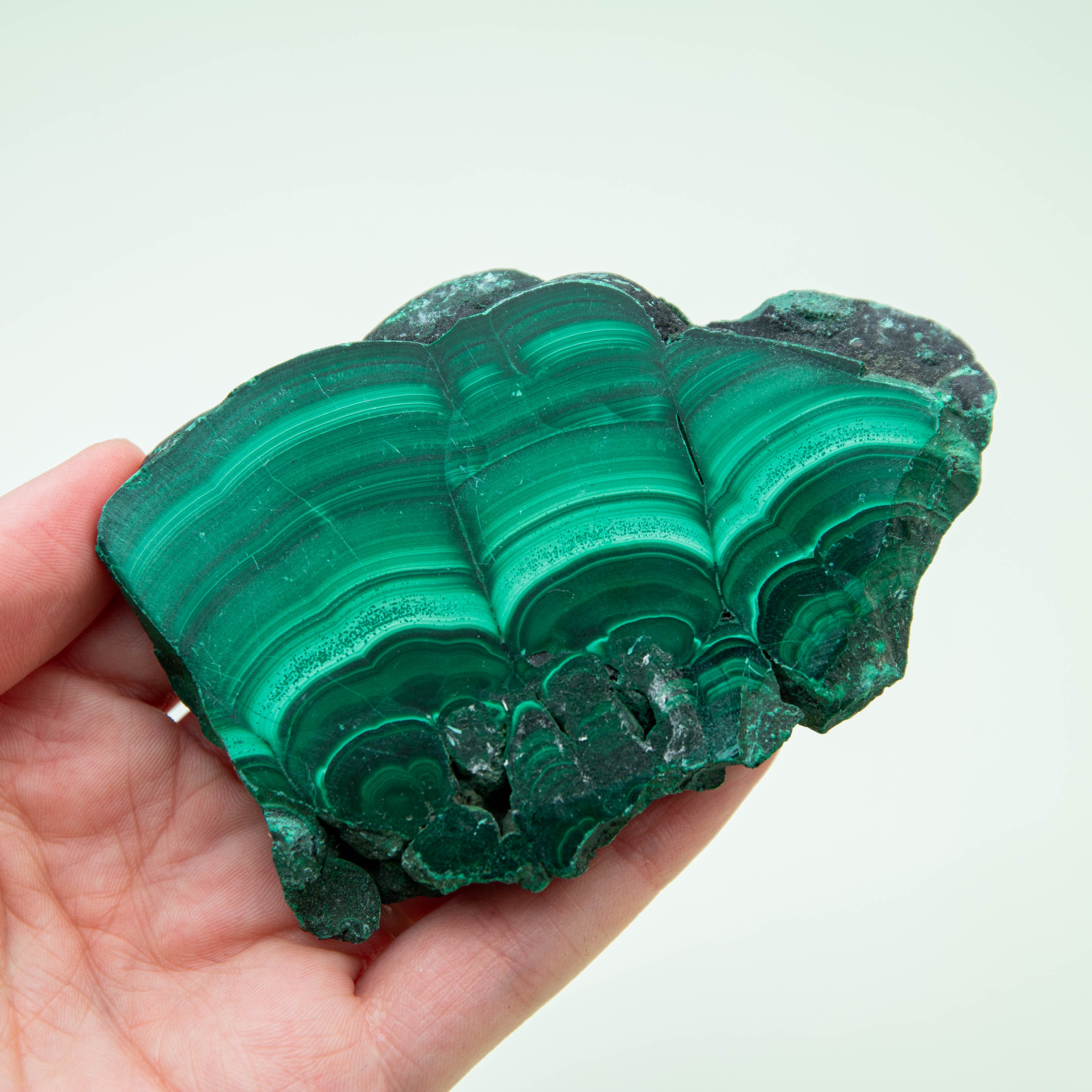 Malachite Slap - 149g/9.5cm (C)