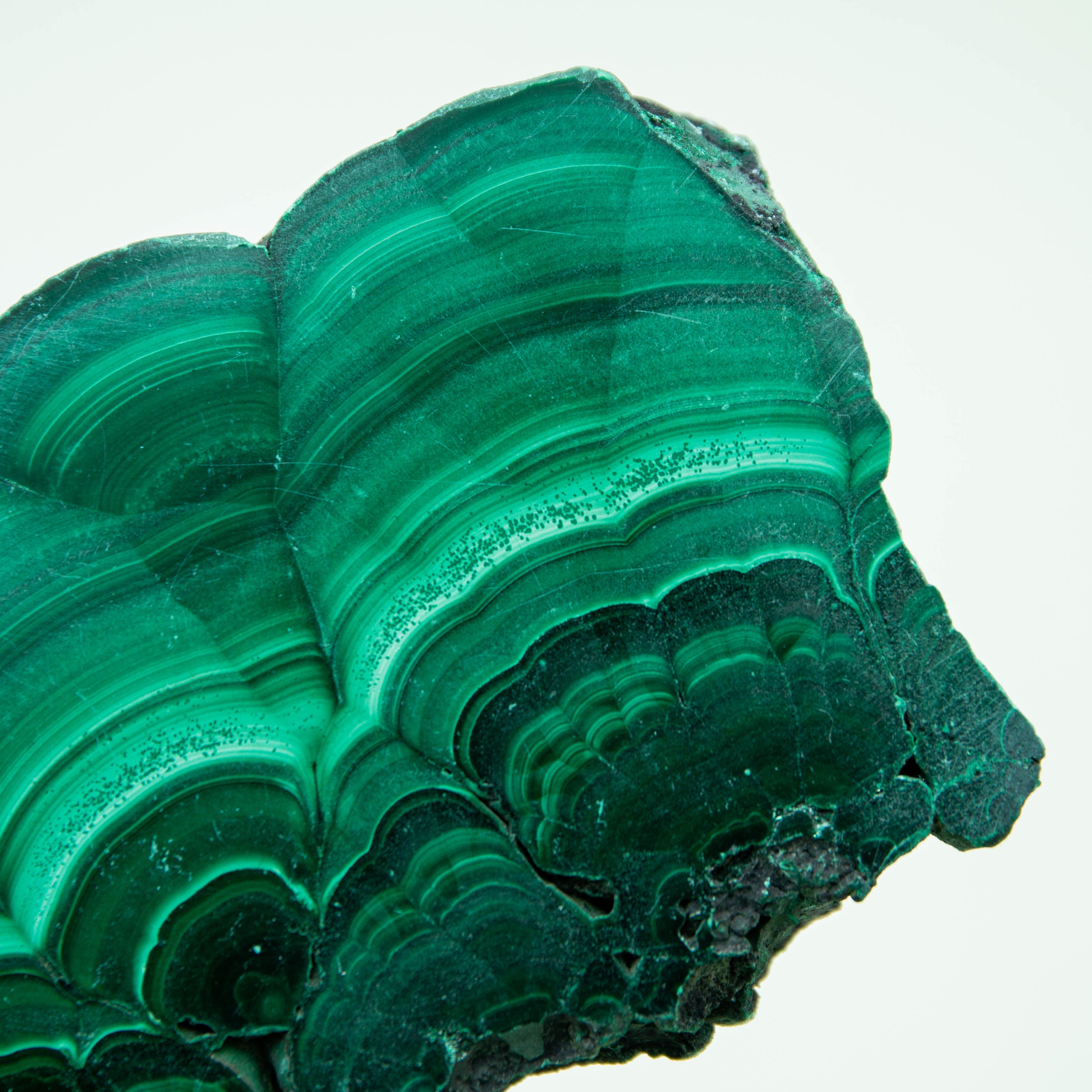Malachite Slap - 149g/9.5cm (C)