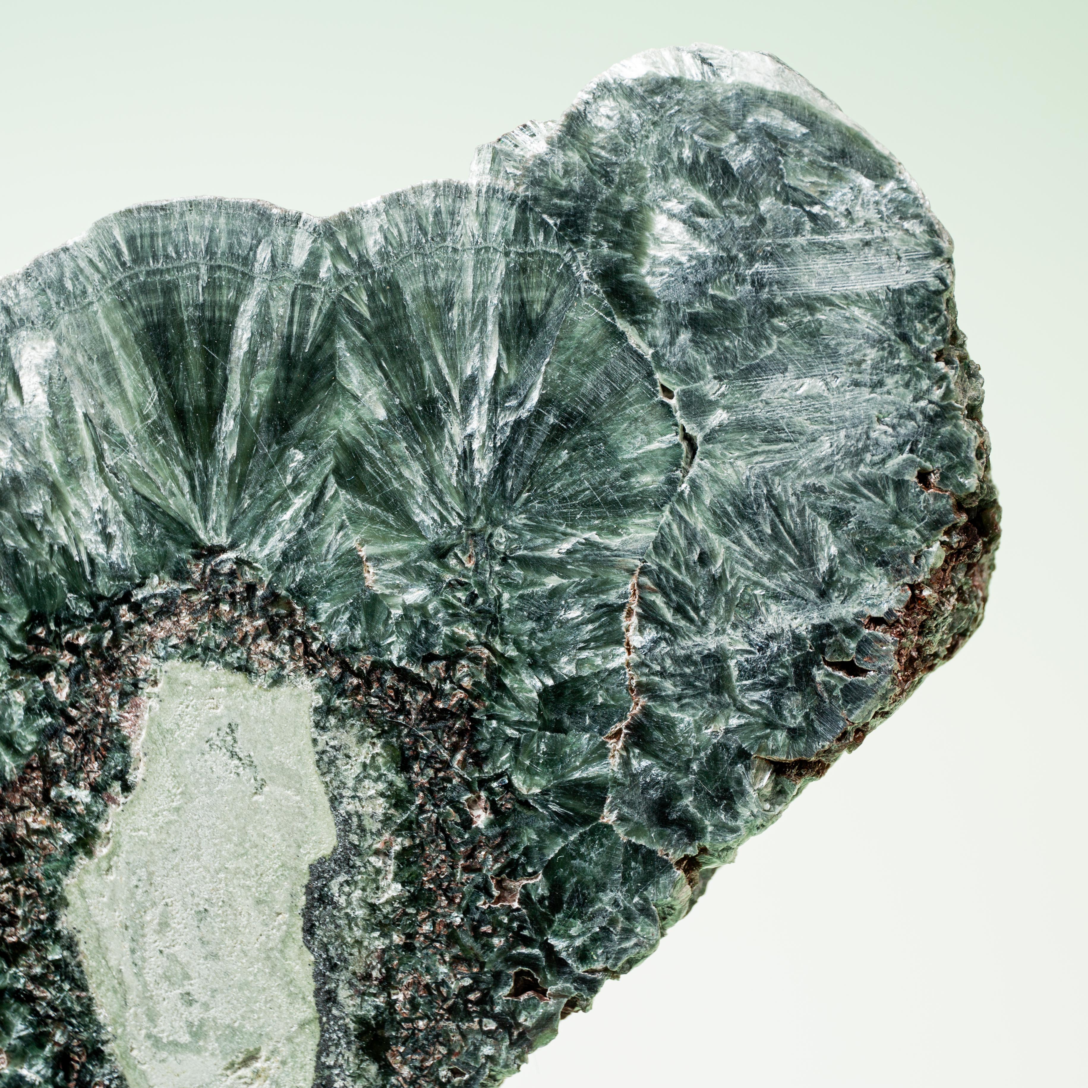 Seraphinite Slab - 17cm/184g(E)