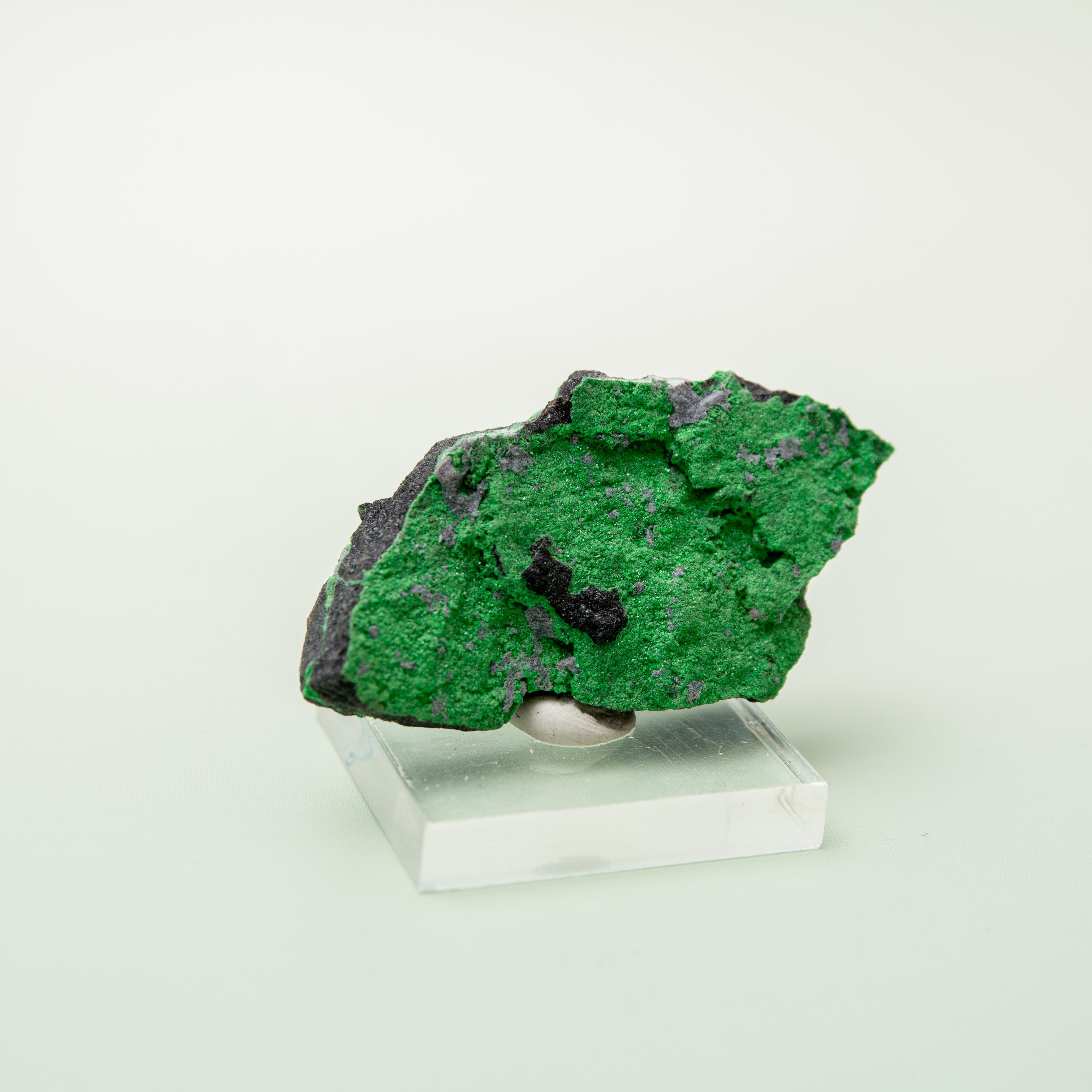 Uvarovite (Russian) - 3.5 cm (B)