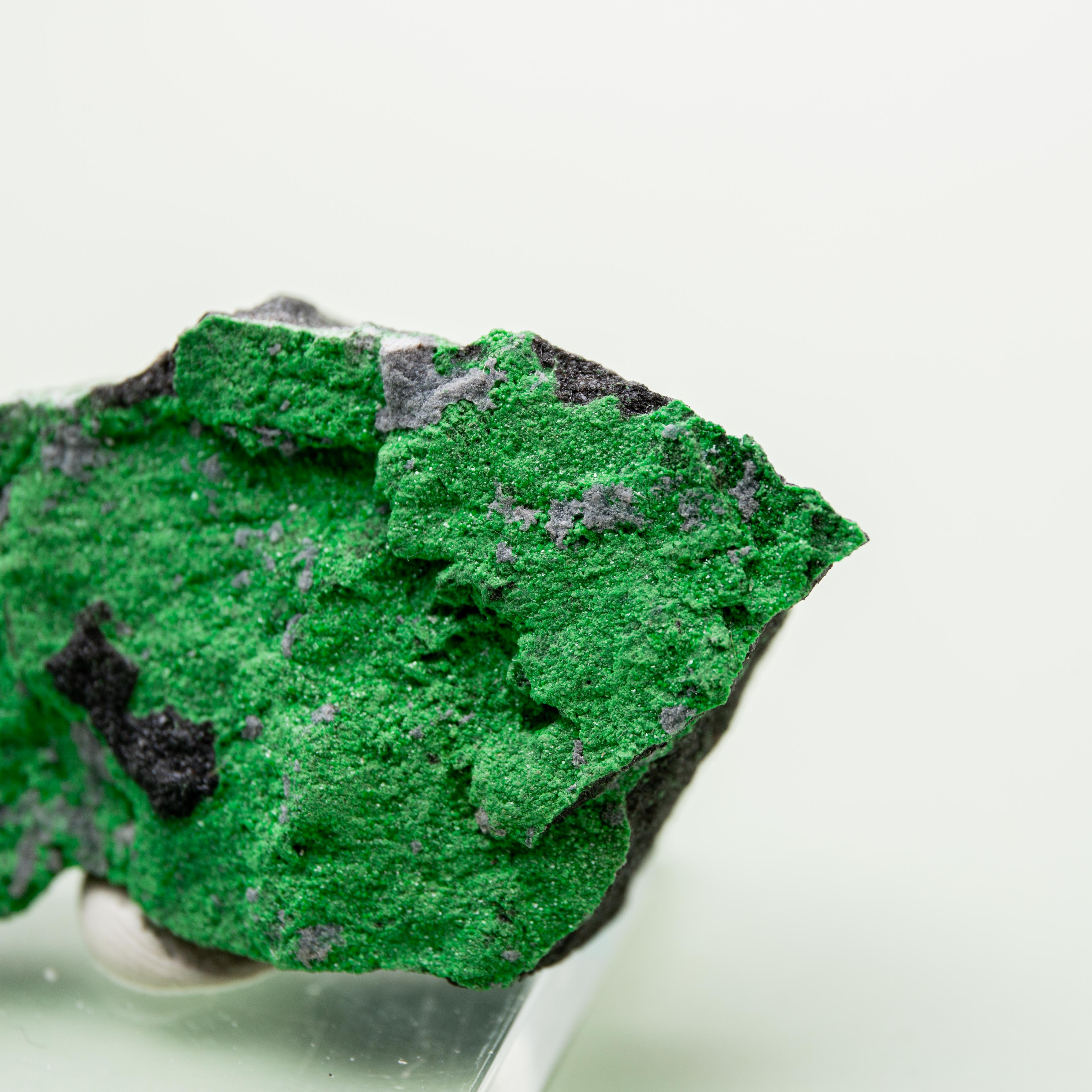Uvarovite (Russian) - 3.5 cm (B)