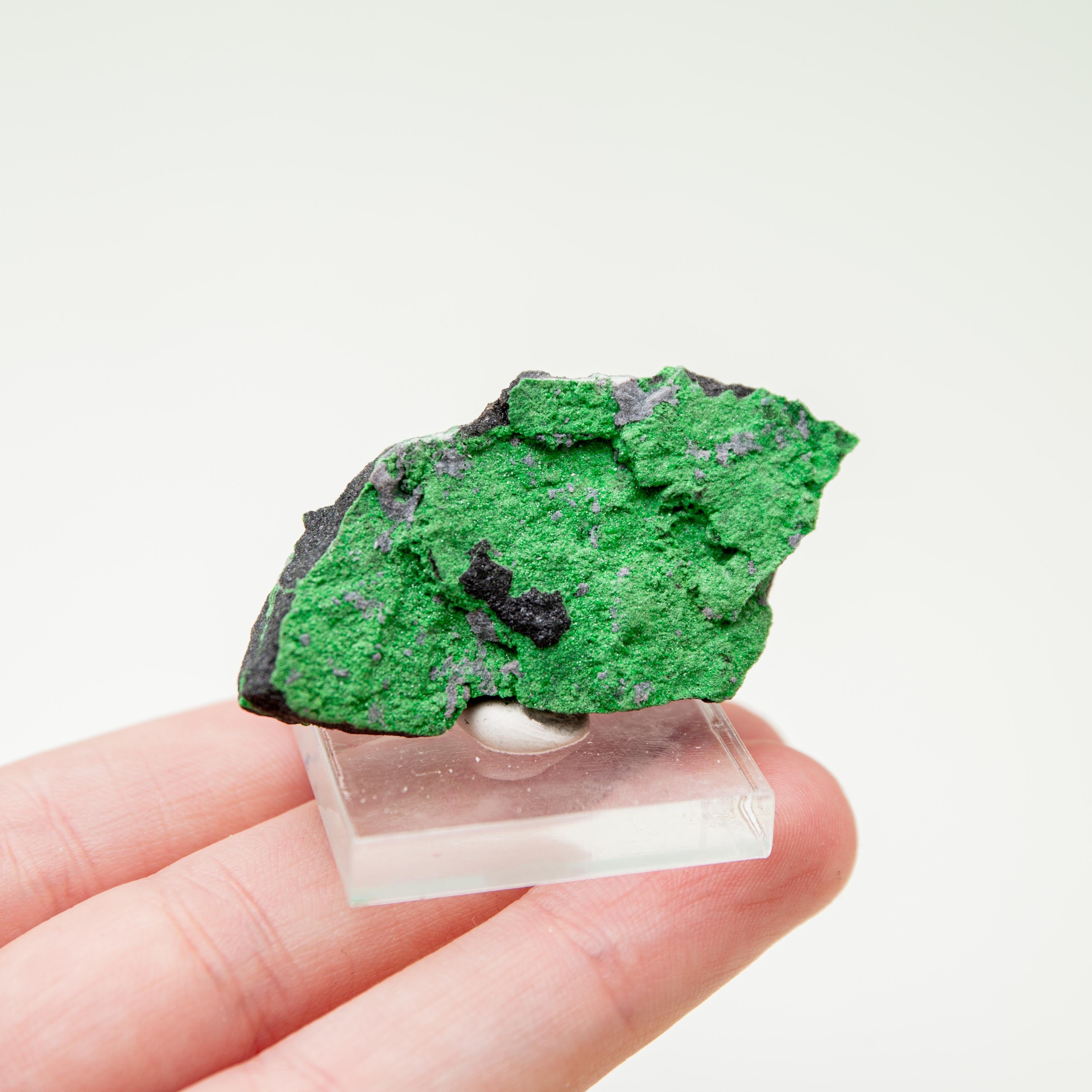 Uvarovite (Russian) - 3.5 cm (B)