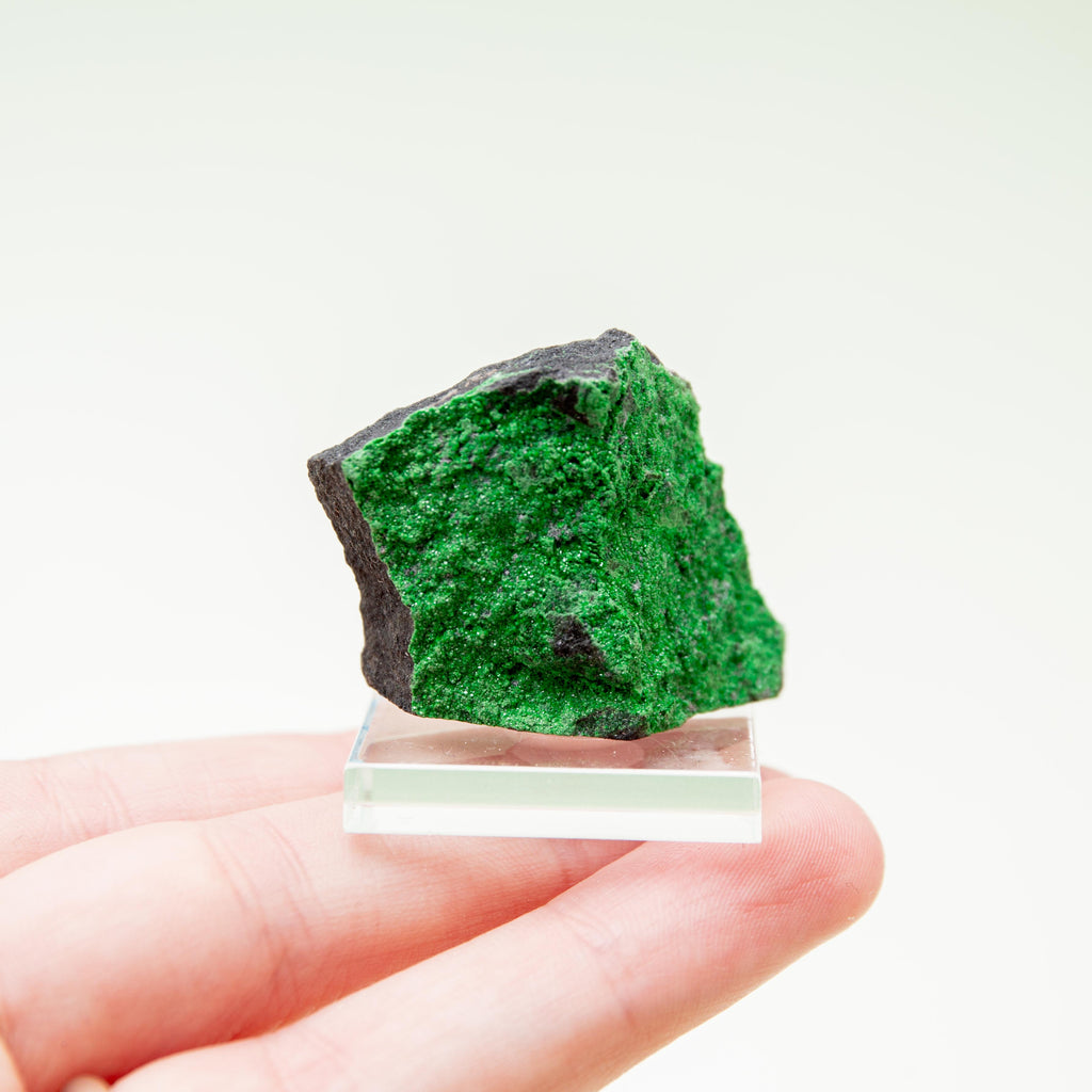 Uvarovite (Russian) - 4cm (C)