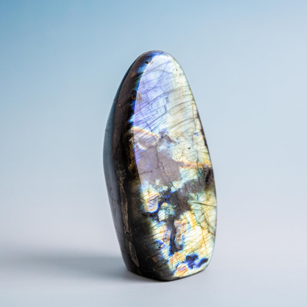 Labradorite Freeform - 559g/12cm (C)