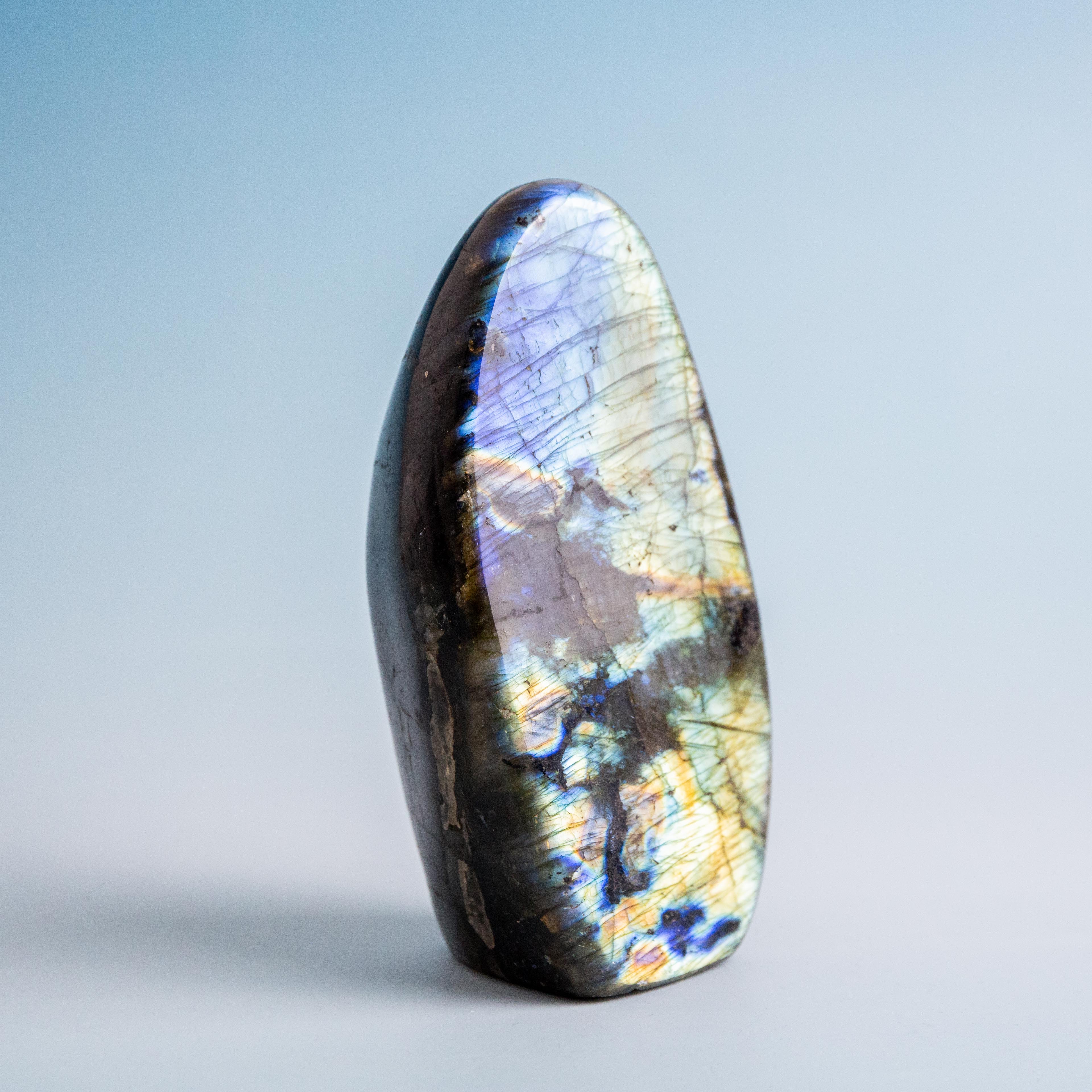 Labradorite Freeform - 559g/12cm (C)