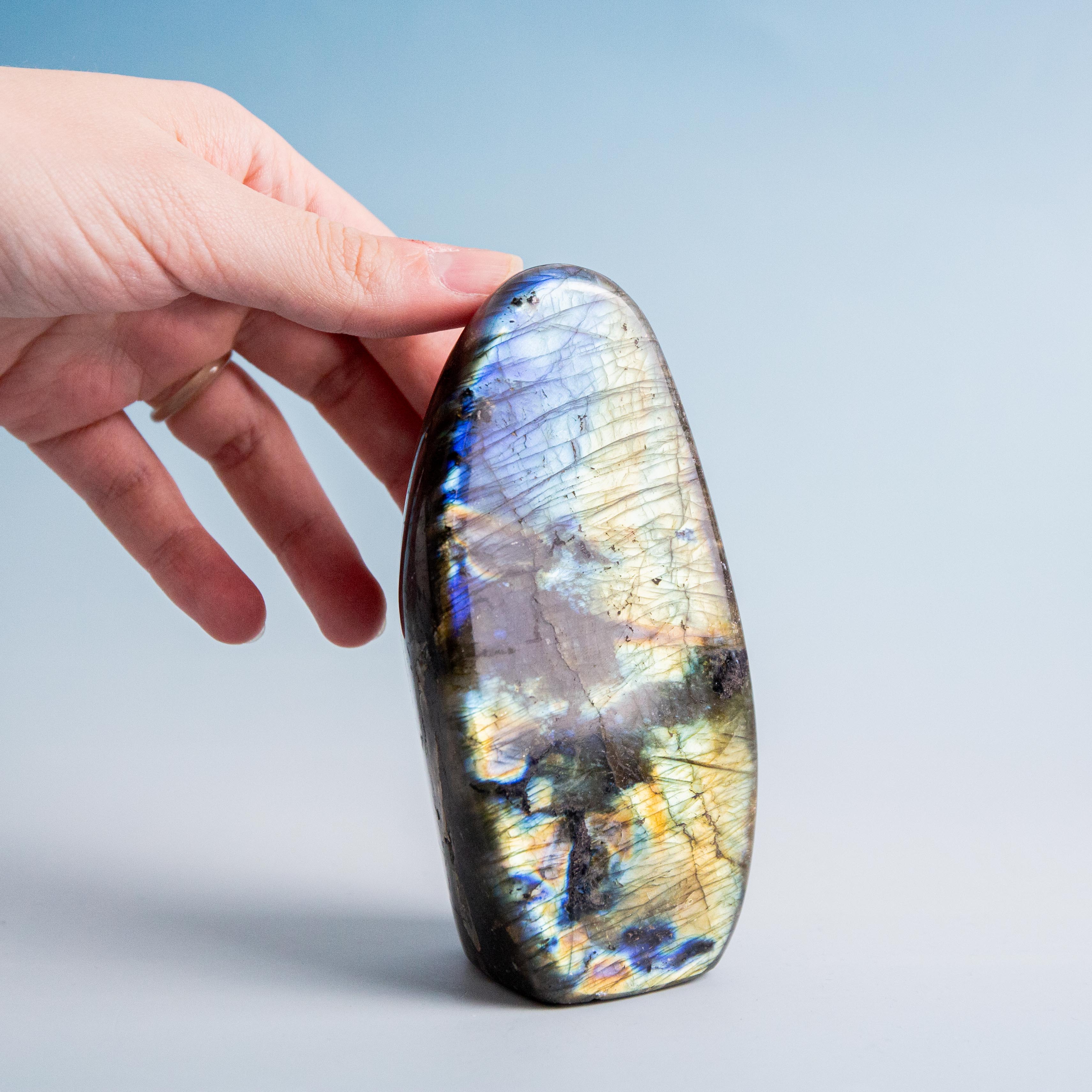 Labradorite Freeform - 559g/12cm (C)