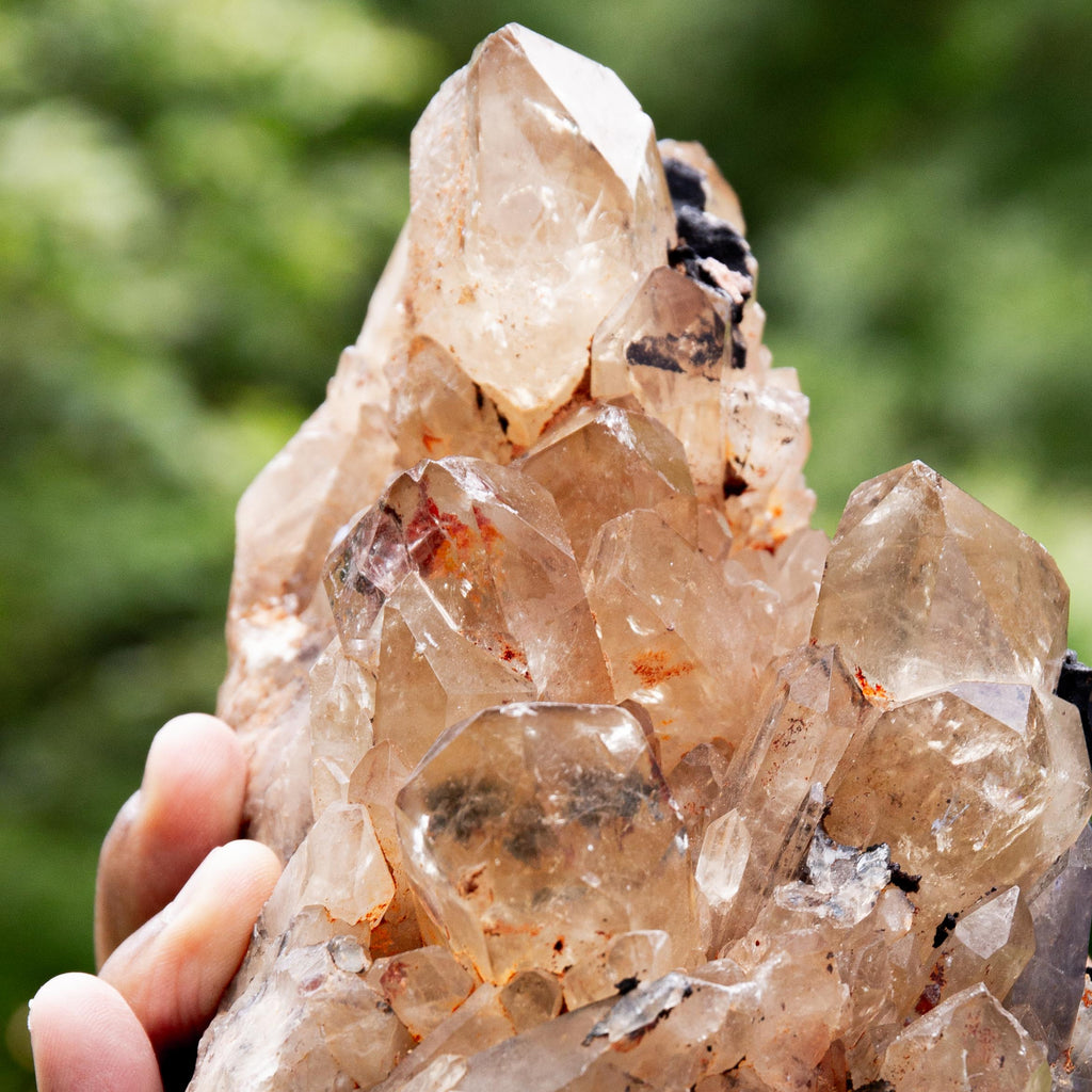 Natural Citrine Congo - 1774g/14cm (C)
