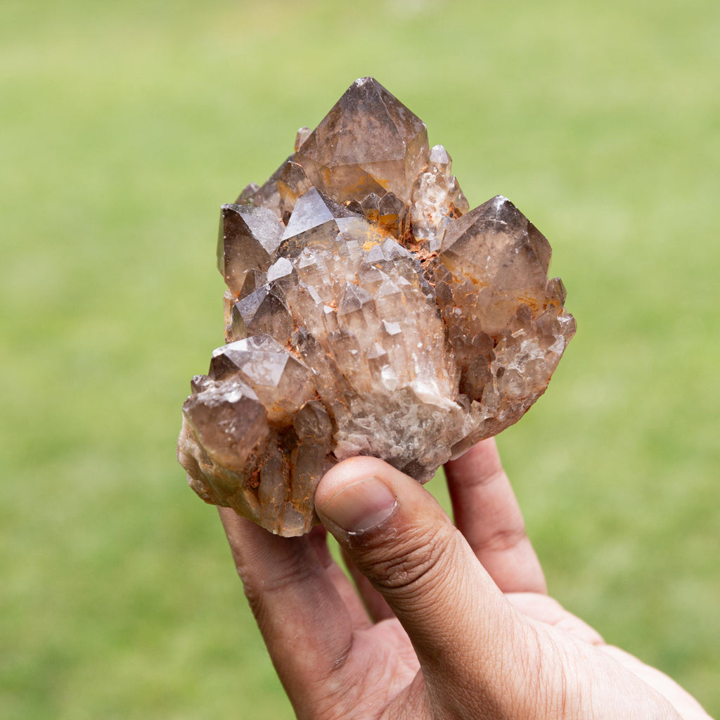 Natural Citrine Congo - 533g/9cm (E)