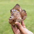 Natural Citrine Congo - 533g/9cm (E)