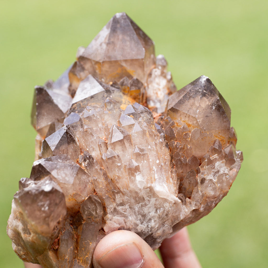 Natural Citrine Congo - 533g/9cm (E)