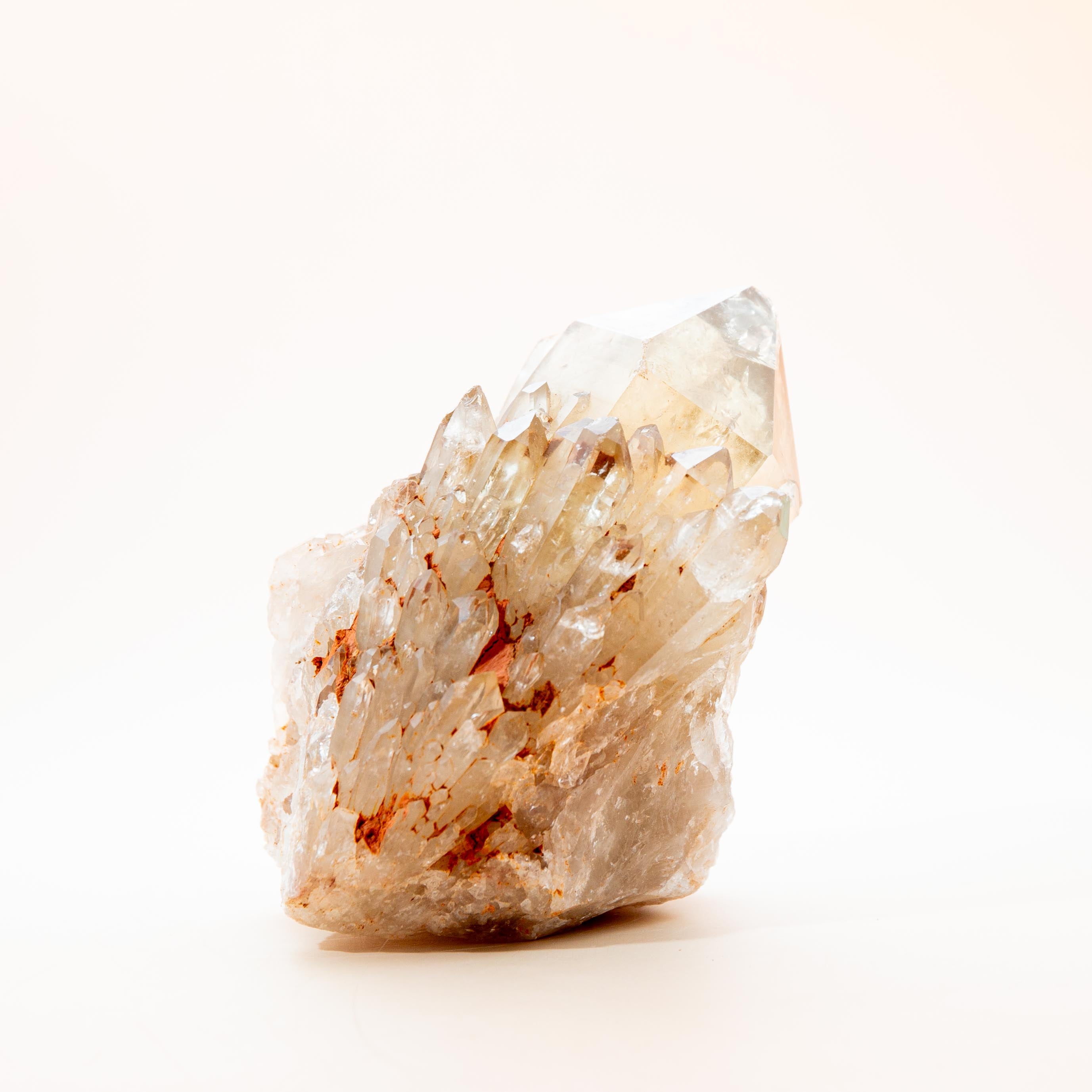 Natural Citrine Congo - 503g/11cm (F)
