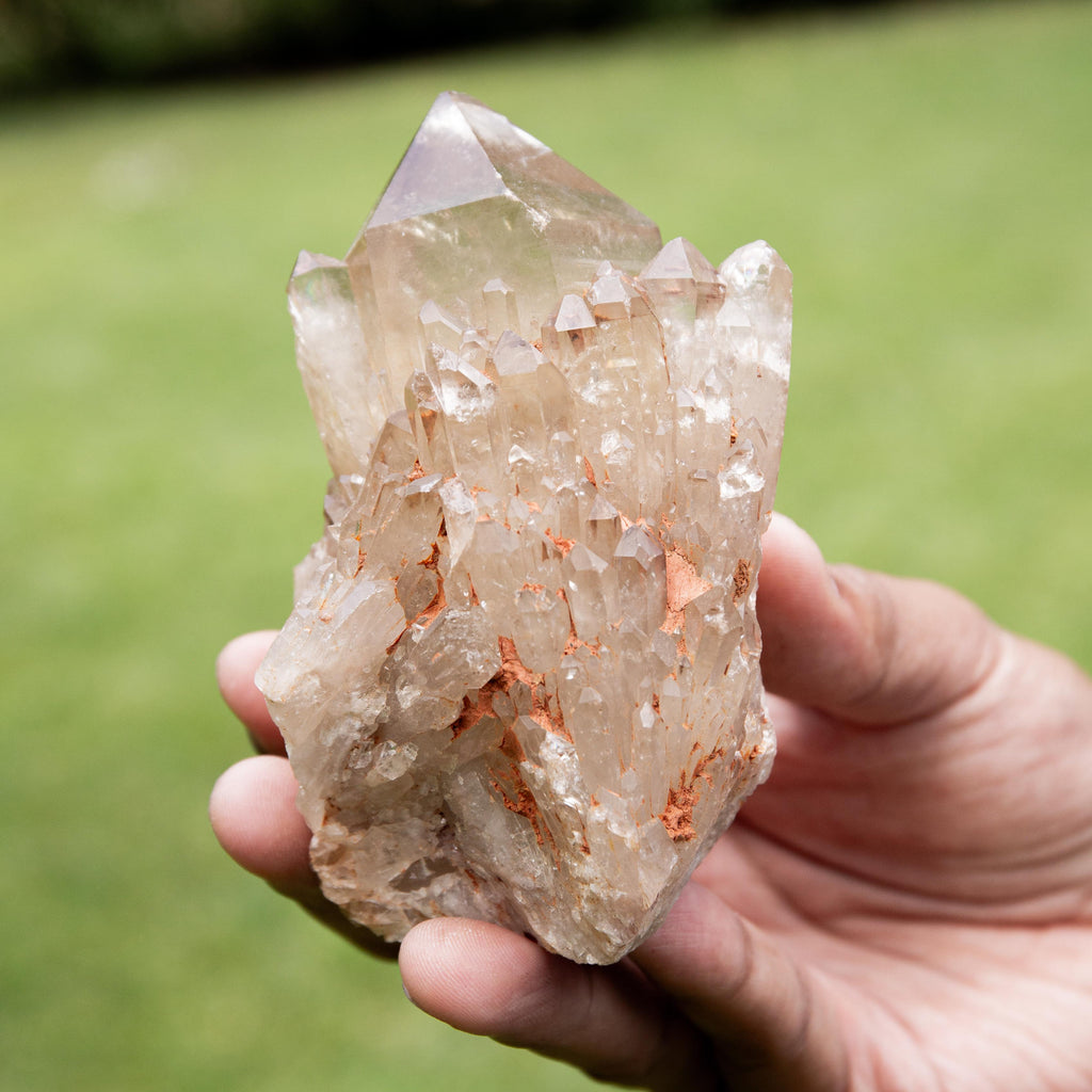 Natural Citrine Congo - 503g/11cm (F)