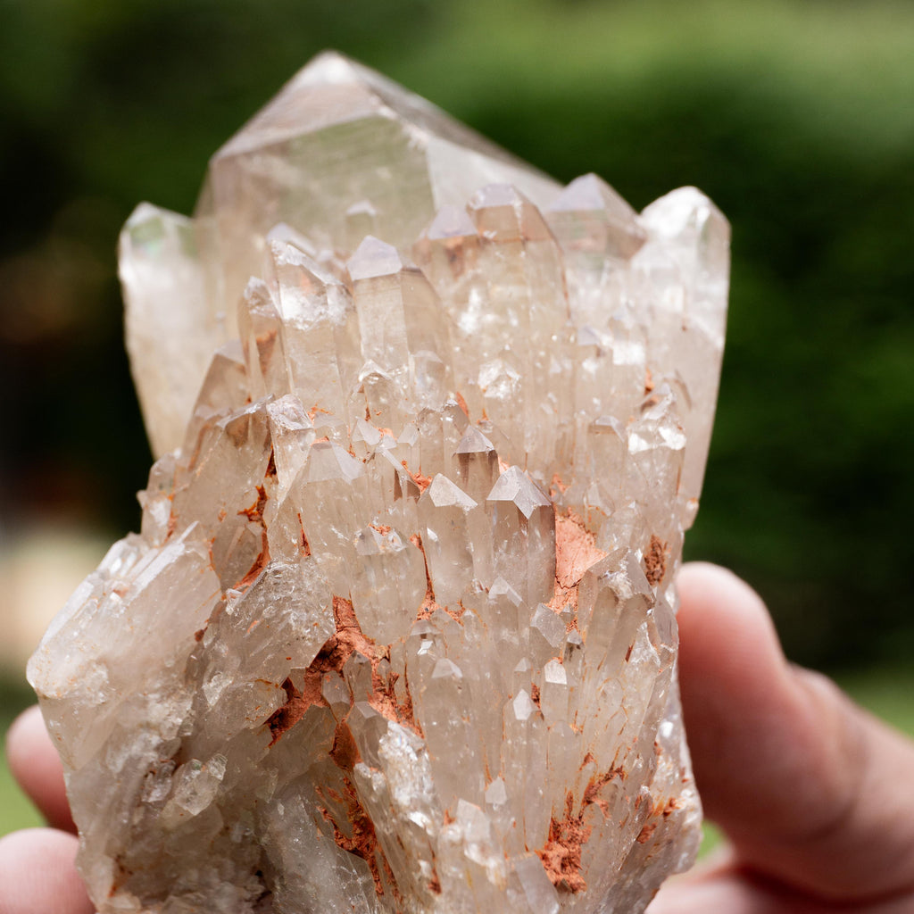 Natural Citrine Congo - 503g/11cm (F)