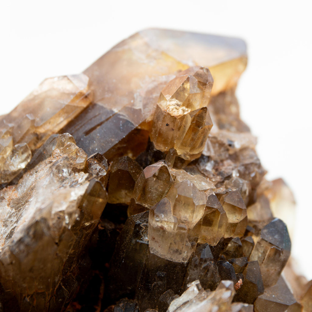 Natural Citrine Congo - 597g/11cm (G)