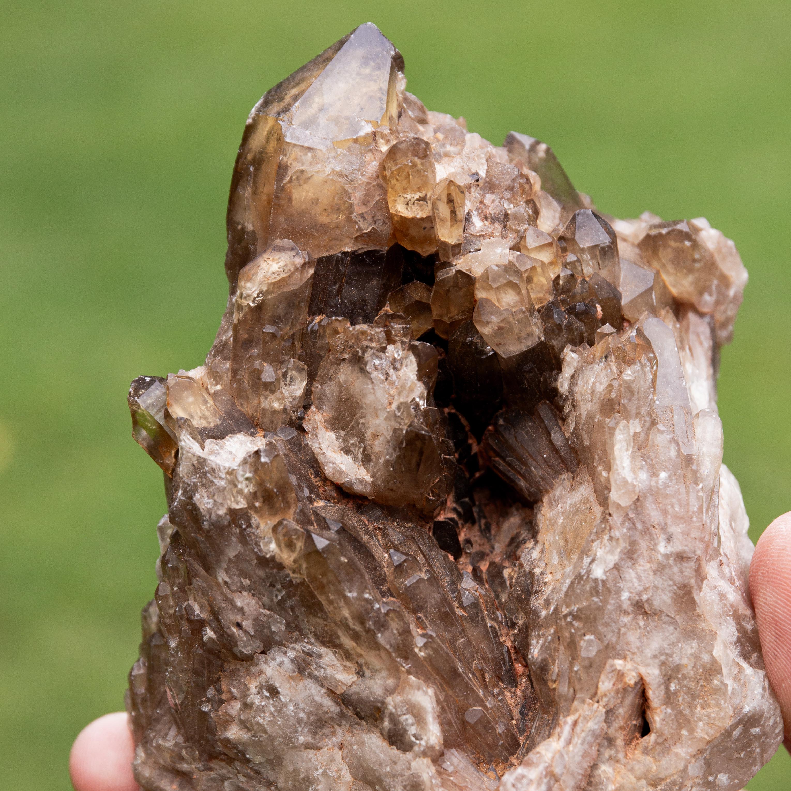 Natural Citrine Congo - 597g/11cm (G)
