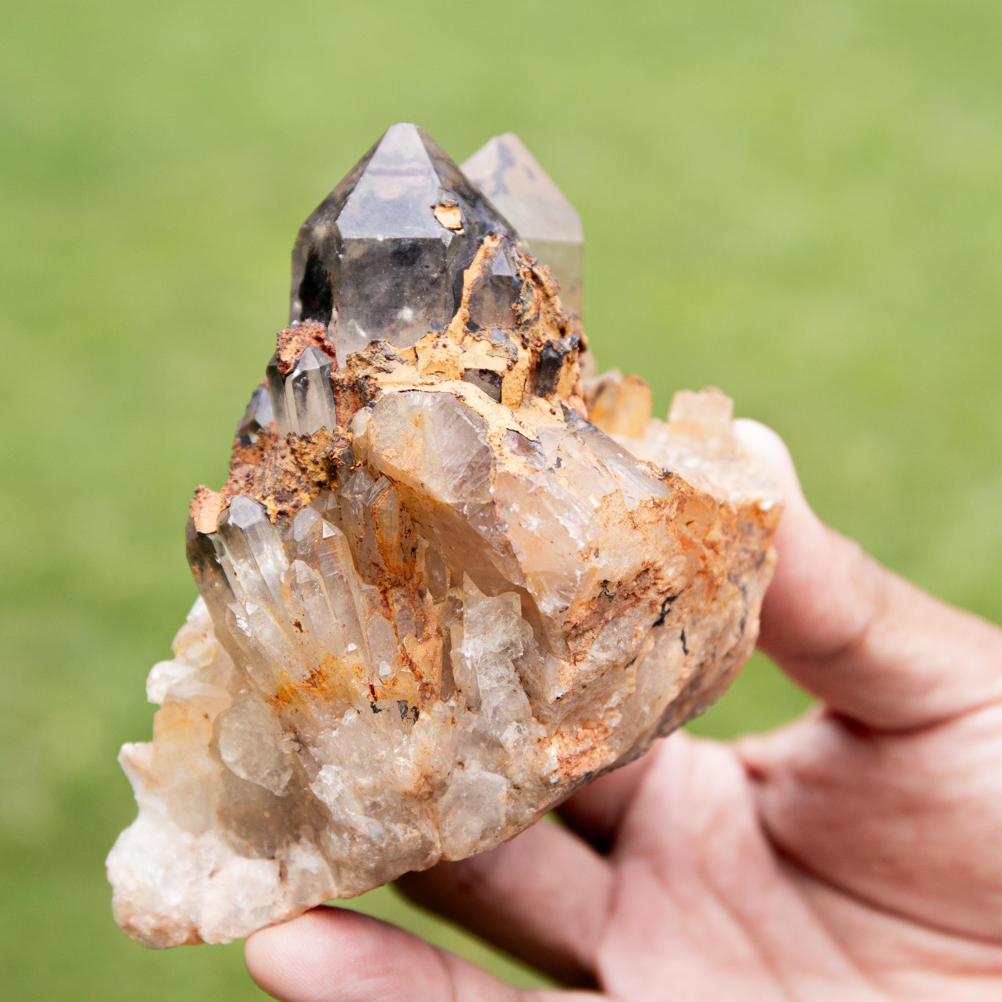 Natural Citrine Congo - 465g/9cm (H)