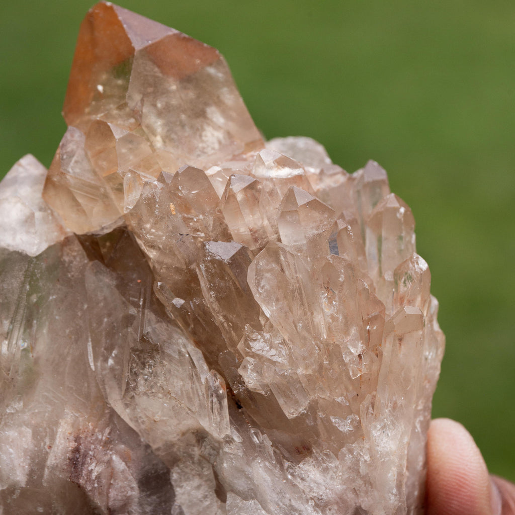 Natural Citrine Congo - 420g/10cm (I)
