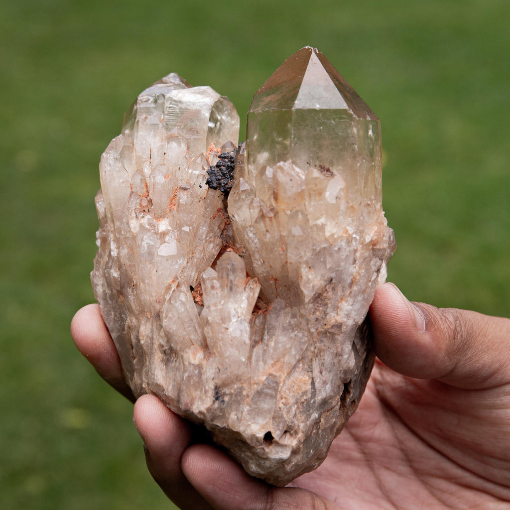 Natural Citrine Congo - 527g/12cm (J)
