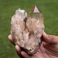 Natural Citrine Congo - 527g/12cm (J)