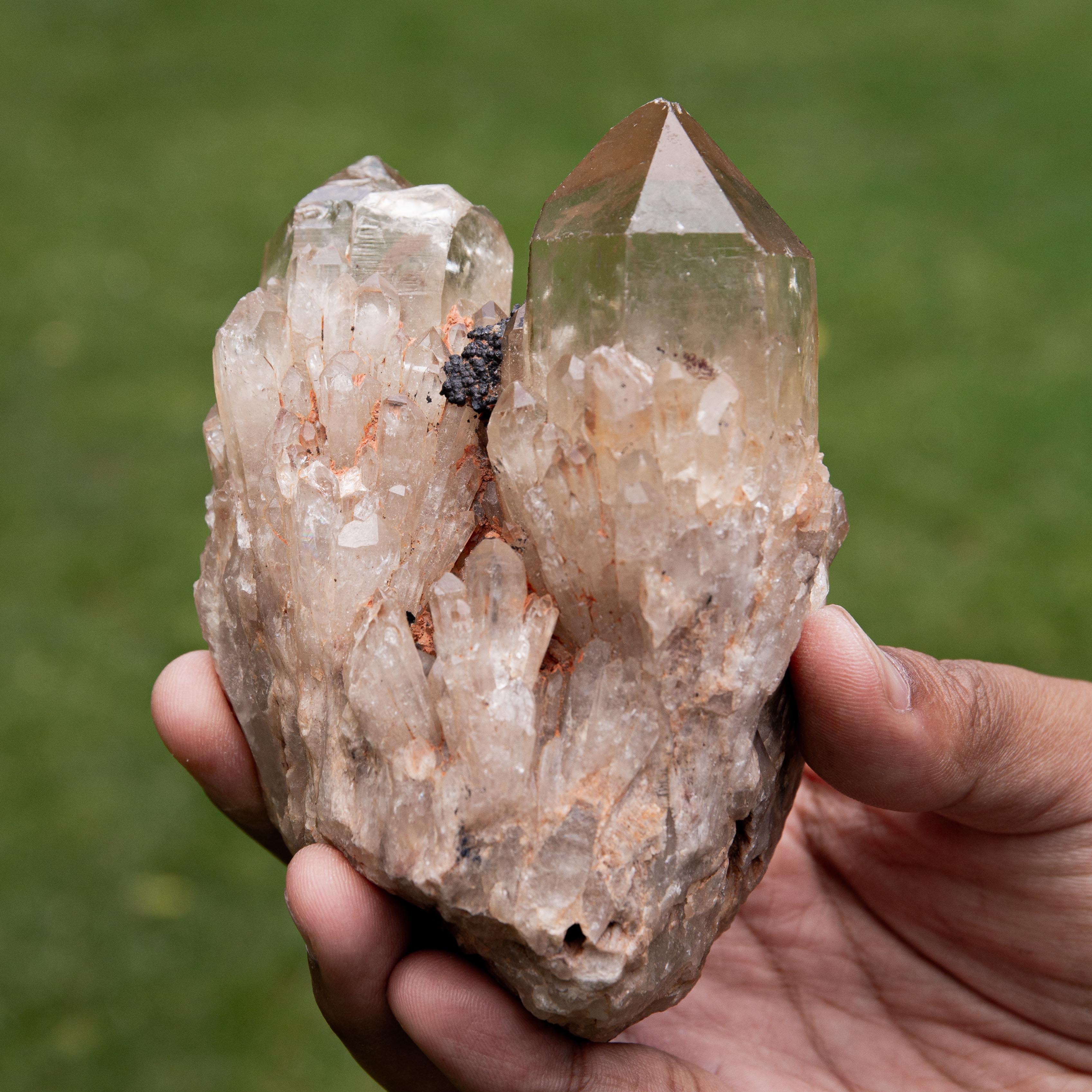 Natural Citrine Congo - 527g/12cm (J)