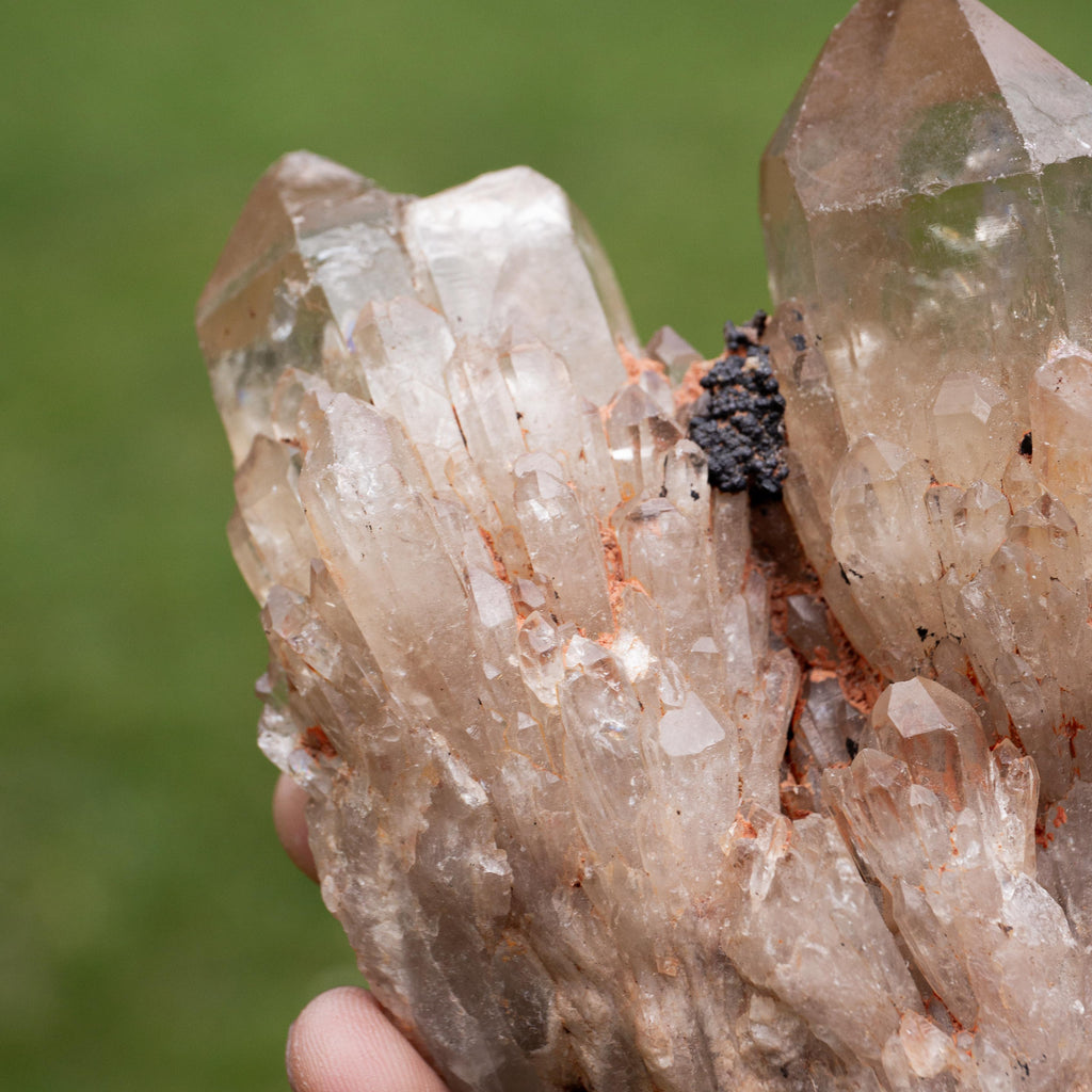 Natural Citrine Congo - 527g/12cm (J)