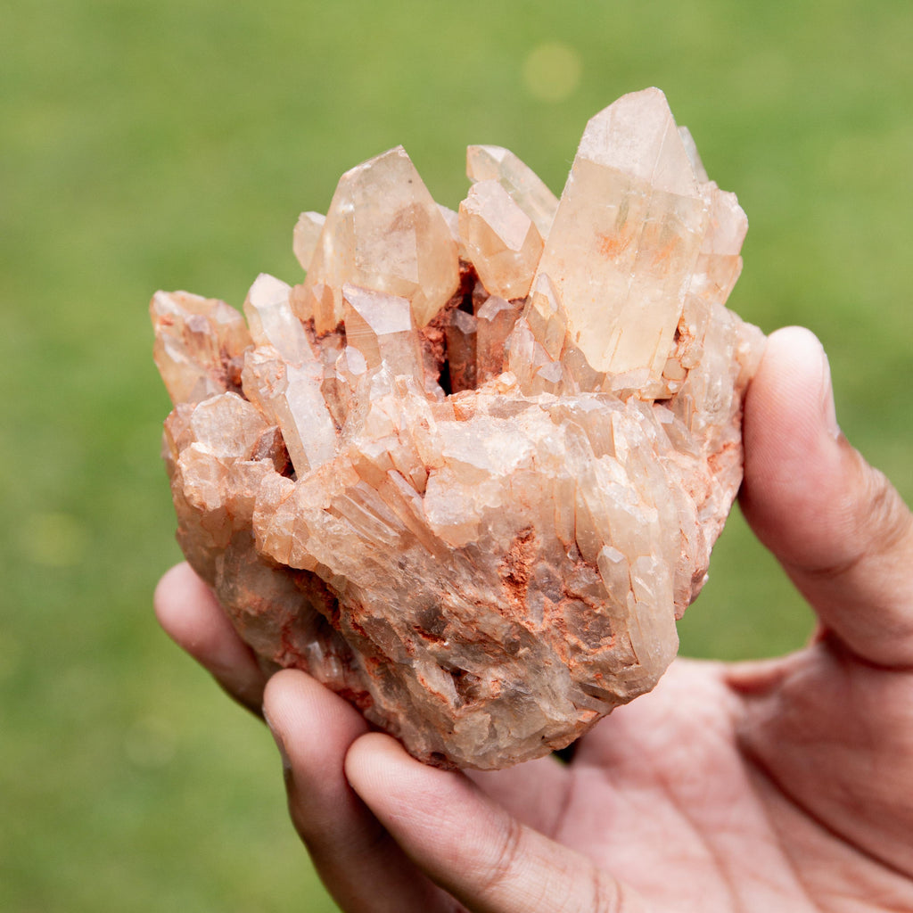Natural Citrine Congo - 454g/8cm (K)