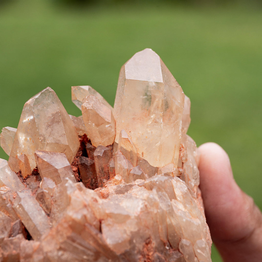 Natural Citrine Congo - 454g/8cm (K)