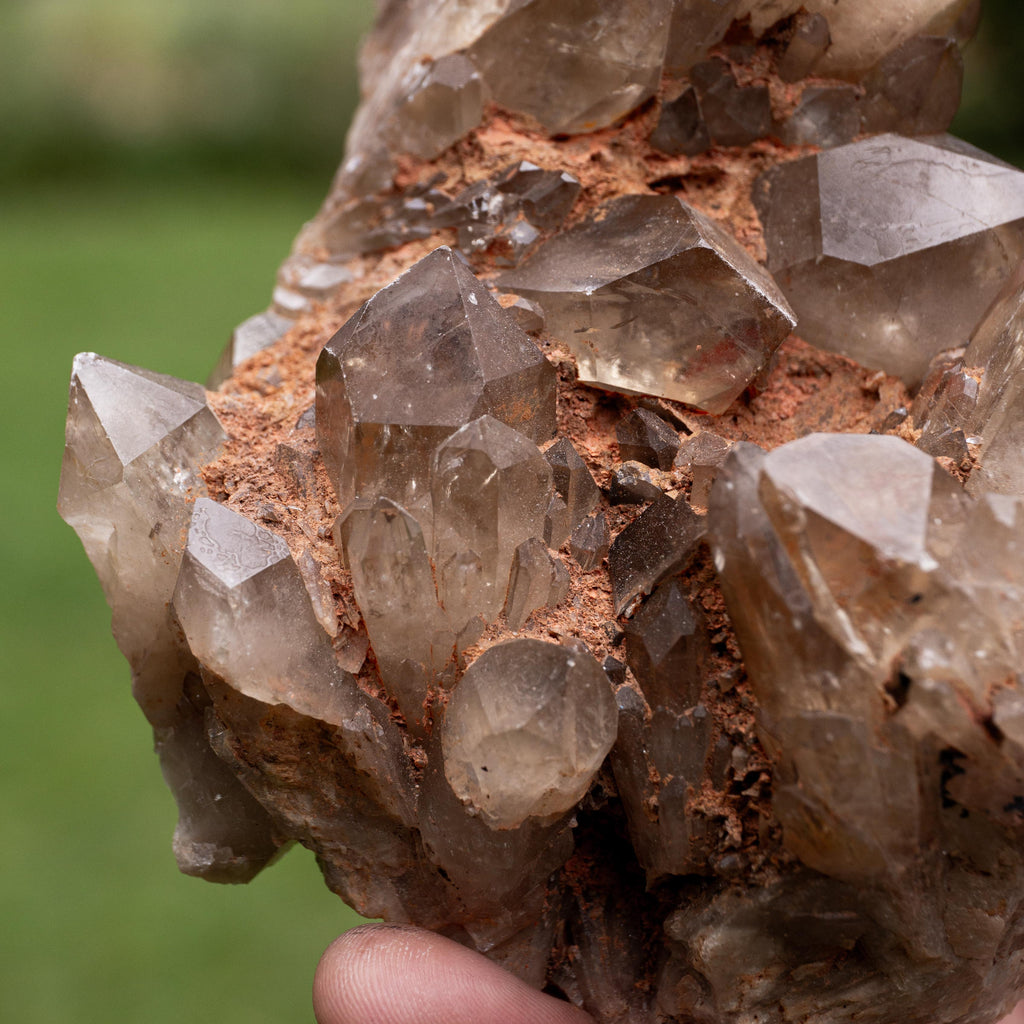 Natural Citrine Congo - 813g/14cm (L)