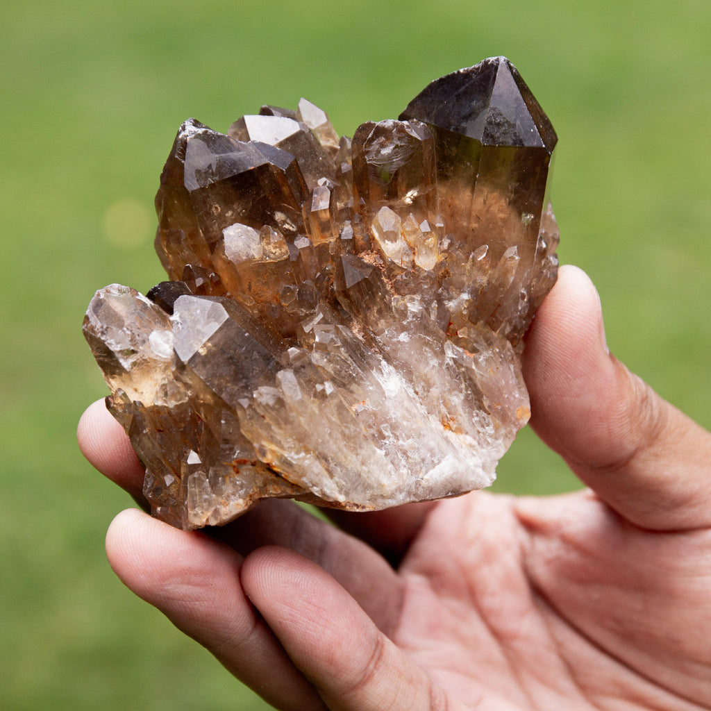 Natural Citrine Congo - 236g/7cm (M)