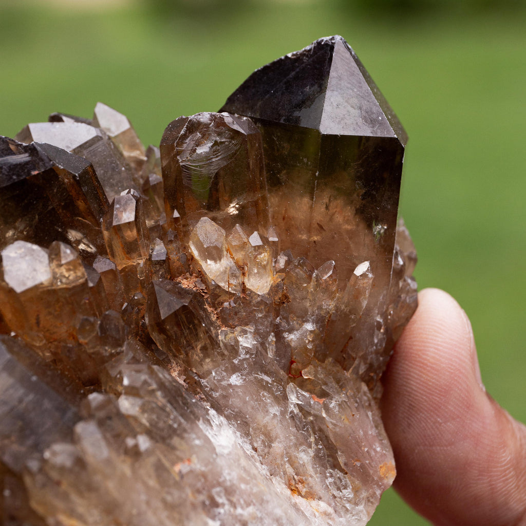 Natural Citrine Congo - 236g/7cm (M)