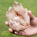 Natural Citrine Congo - 467g/11cm (N)