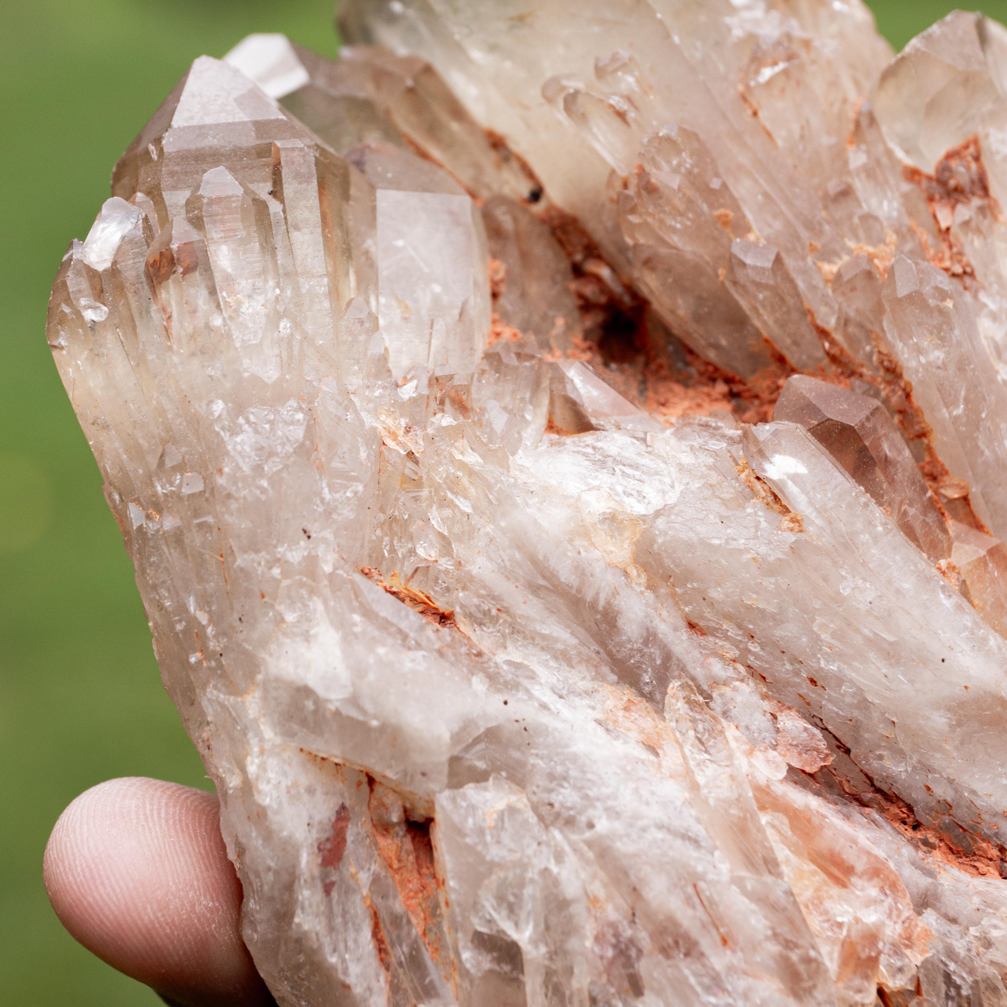 Natural Citrine Congo - 467g/11cm (N)